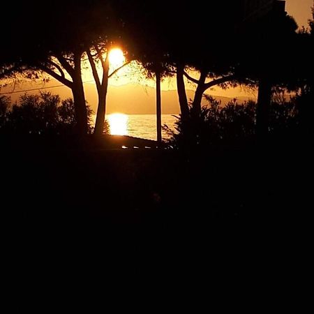 Hotel U Liamone Saint-Florent  Luaran gambar